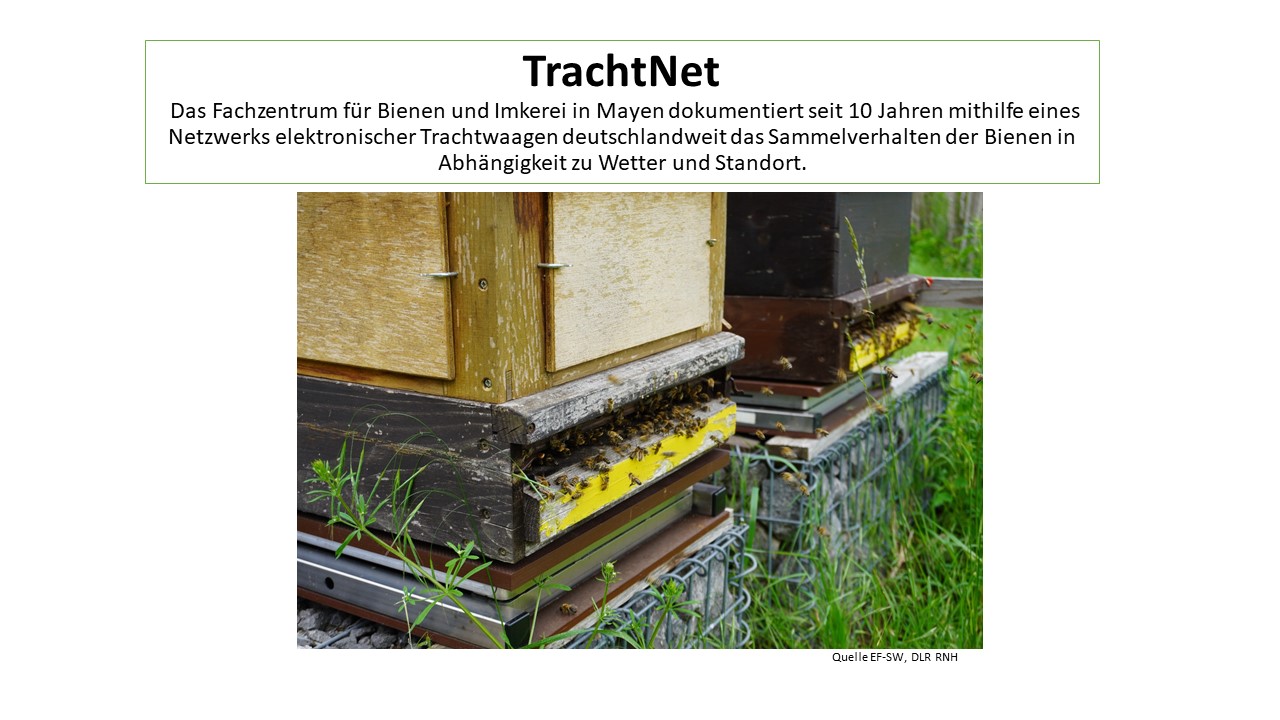 Read more about the article TrachtNet